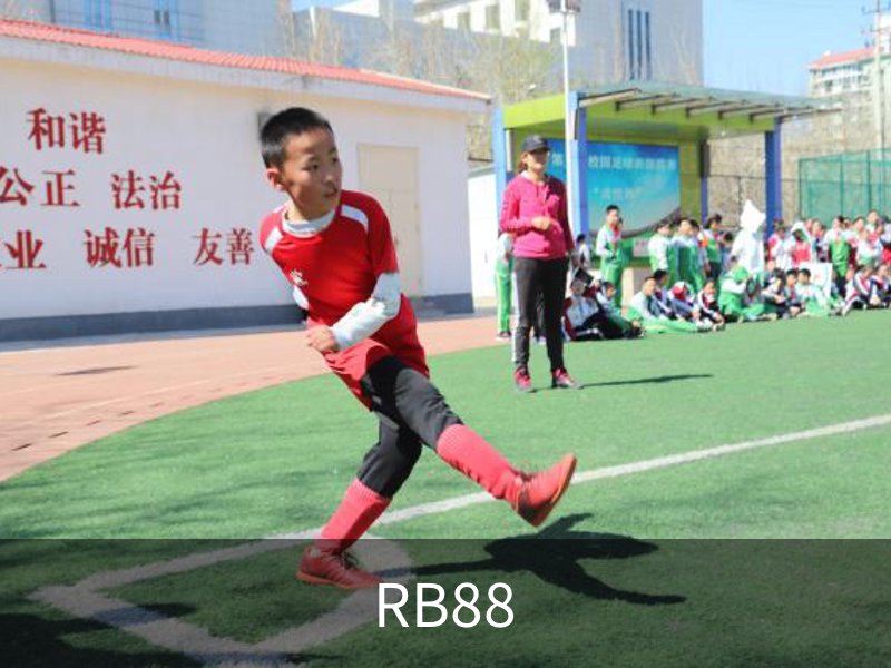 RB88介绍